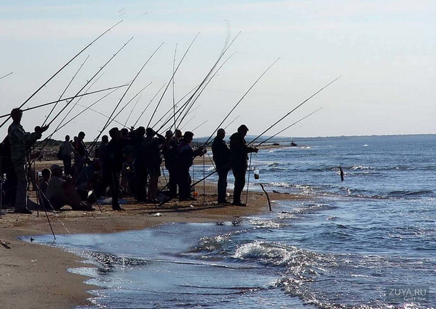 Рыбаки на берегу моря