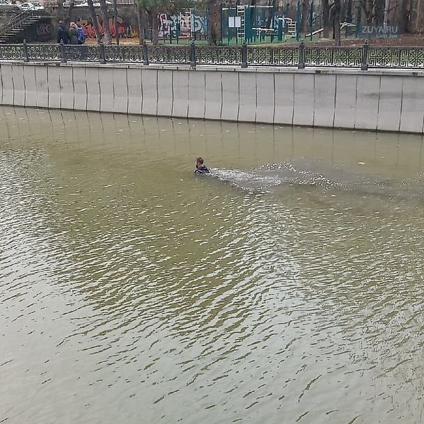 Мужчина плавал в реке салгир в Симферополе