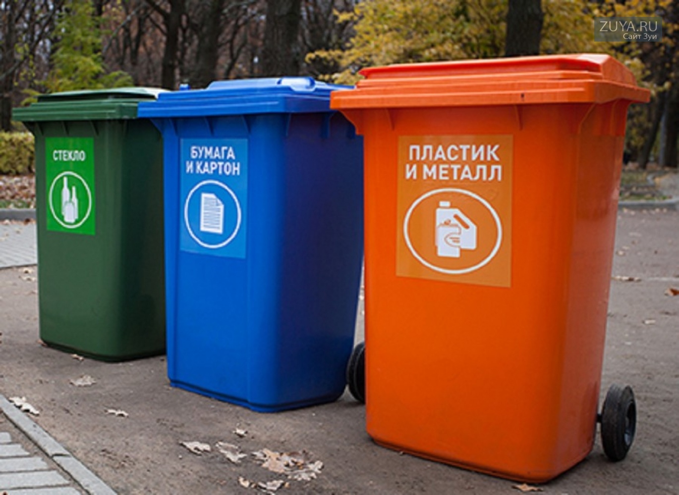 Цвета баков. Раздельные контейнер ТКО. Контейнеры для раздельного сбора мусора. Контейнеры для переработки мусора. Мусорный бак для раздельного сбора мусора.