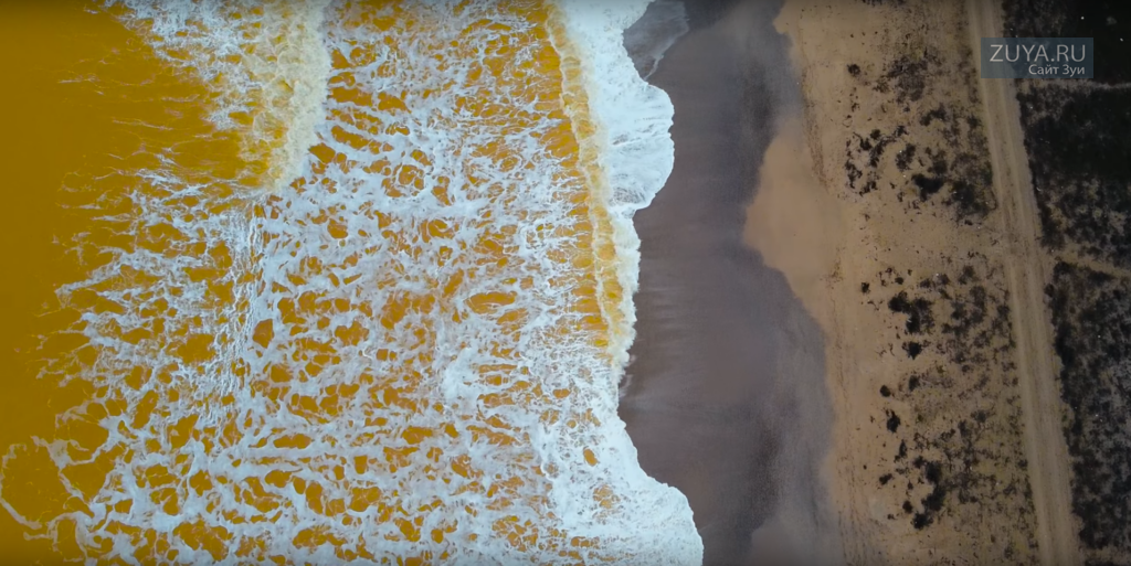Необычно желтое море под Евпаторией фотографии