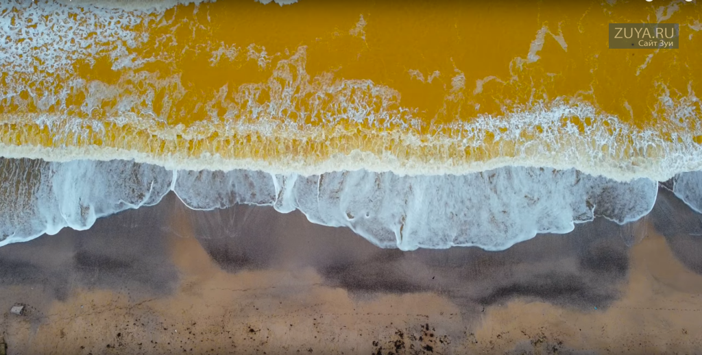 Желтое море в Евпатории фото